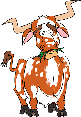 Texas Longhorn